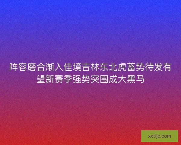 阵容磨合渐入佳境吉林东北虎蓄势待发有望新赛季强势突围成大黑马