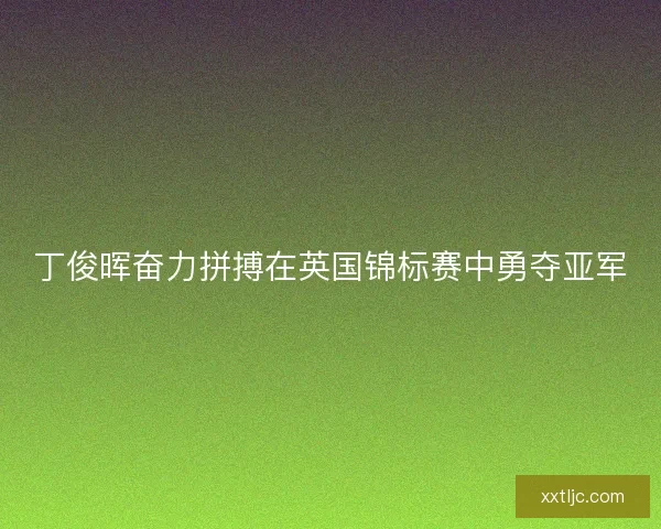 丁俊晖奋力拼搏在英国锦标赛中勇夺亚军